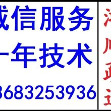  金锤矿产资源投资咨询公司 主营 服务 咨询