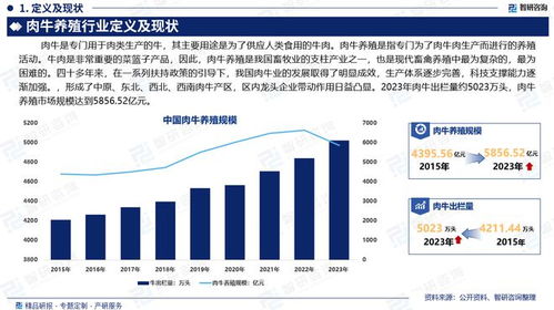 2024版中国肉牛养殖行业市场规模及投资策略研究报告 智研咨询